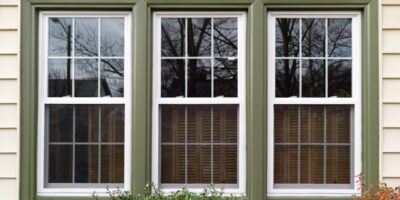 Three large vertical sliding windows with white trim and a green frame reflect the image of tree branches.