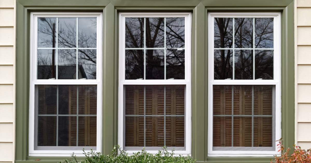 Three large vertical sliding windows with white trim and a green frame reflect the image of tree branches.