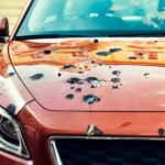 The hood of a red car covered in bird droppings. There are also some bird droppings on the windshield of the car.