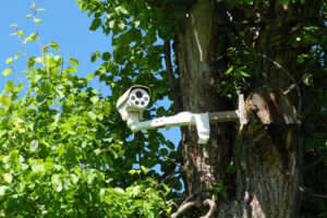 A white security camera mounted on a large tree with tons of green leaves contains multiple camera slots.